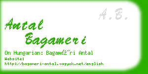 antal bagameri business card